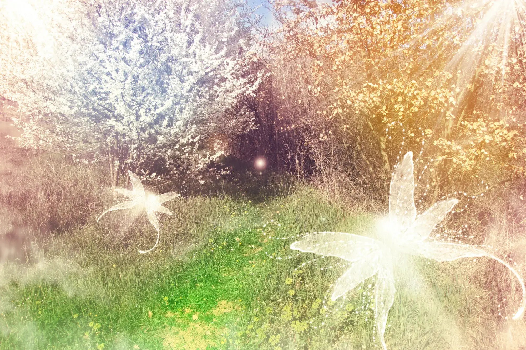 Naturånder og Elementarvæsener er et bindeled mellem mennesket og naturen