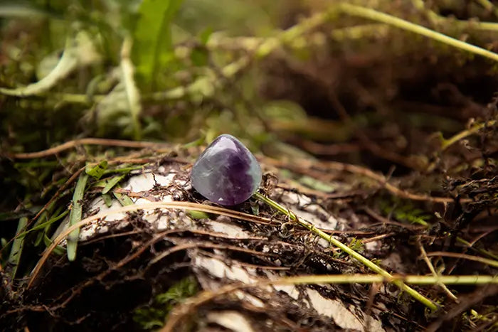 Ægte fluorit med grønne og lilla farvespil